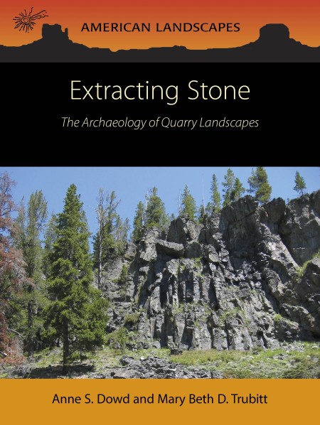 Cover image for Extracting Stone