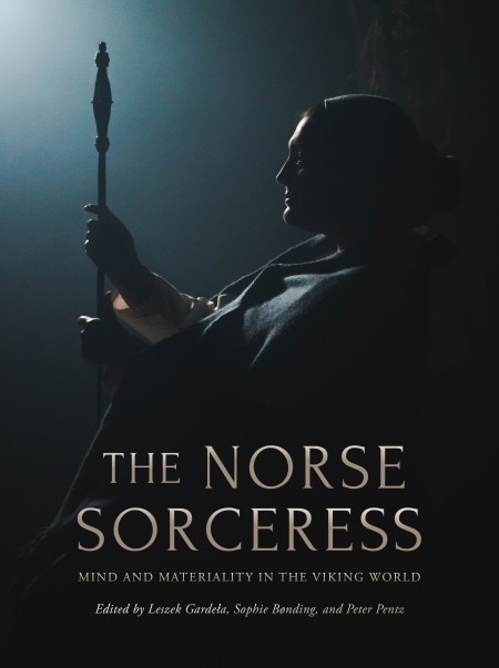 Cover image for The Norse Sorceress
