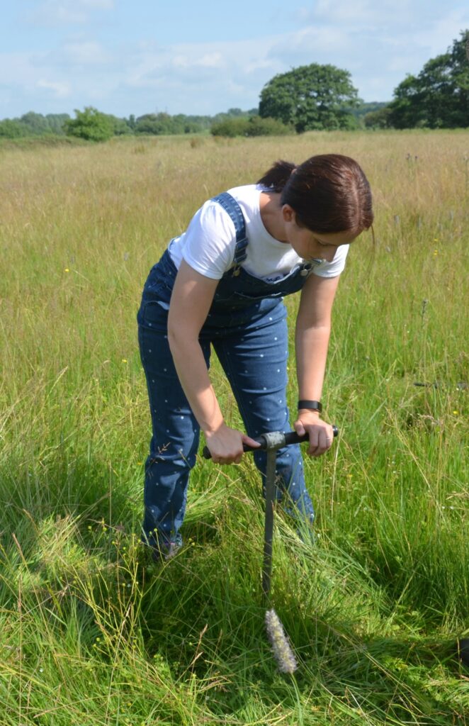 Volunteer using a hand auger for environmental coring at Rendlesham